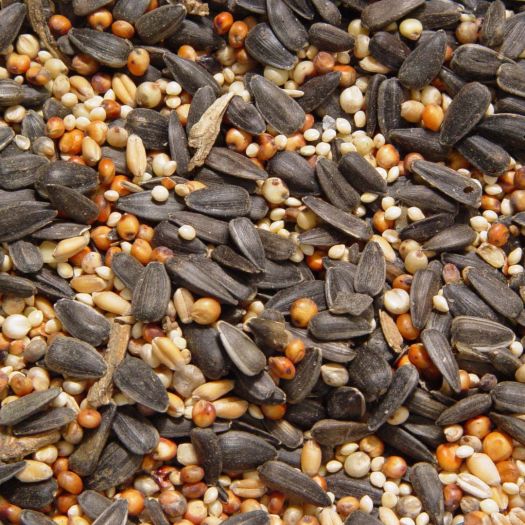 Bird seed found at Fingal Farm supply